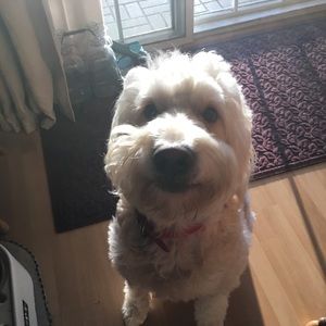 Meet your Posher, Vickie